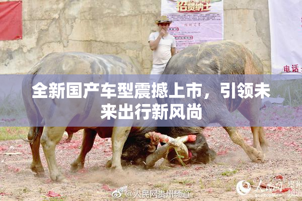 全新国产车型震撼上市，引领未来出行新风尚