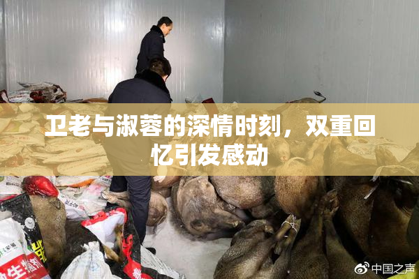 卫老与淑蓉的深情时刻，双重回忆引发感动