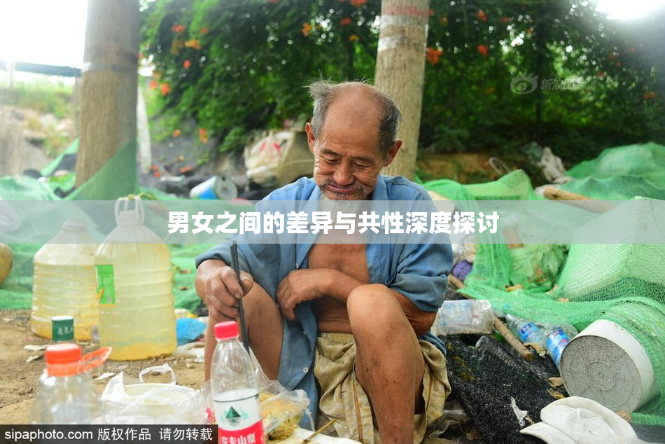 男女之间的差异与共性深度探讨
