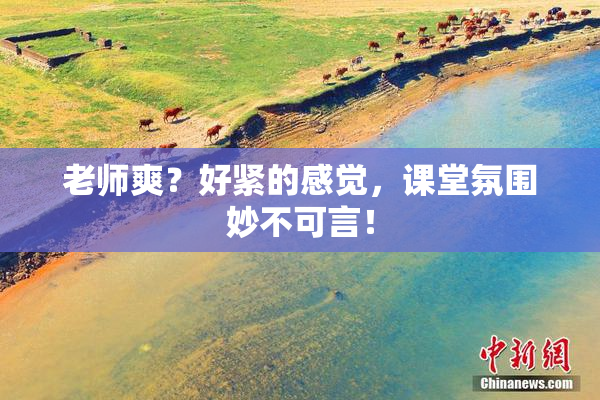 老师爽？好紧的感觉，课堂氛围妙不可言！