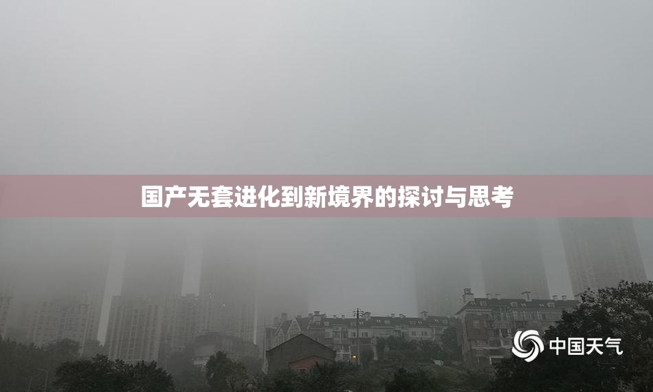 国产无套进化到新境界的探讨与思考