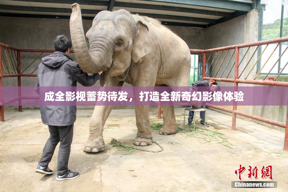 成全影视蓄势待发，打造全新奇幻影像体验