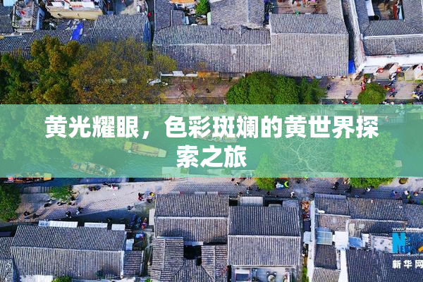 黄光耀眼，色彩斑斓的黄世界探索之旅