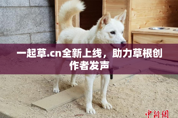 一起草.cn全新上线，助力草根创作者发声