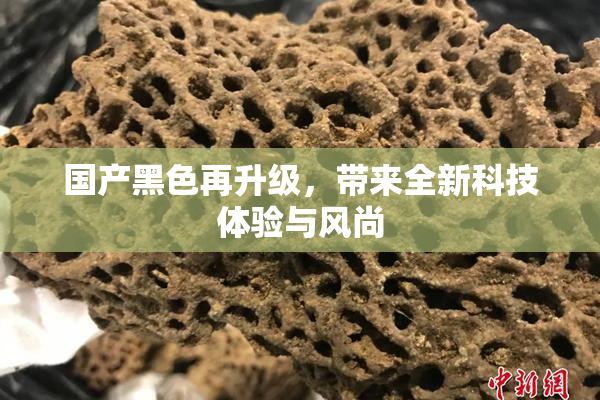 国产黑色再升级，带来全新科技体验与风尚