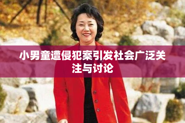 小男童遭侵犯案引发社会广泛关注与讨论