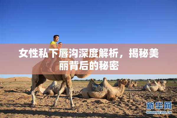 女性私下唇沟深度解析，揭秘美丽背后的秘密
