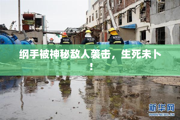 纲手被神秘敌人袭击，生死未卜！