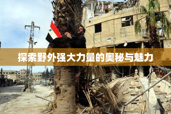 探索野外强大力量的奥秘与魅力