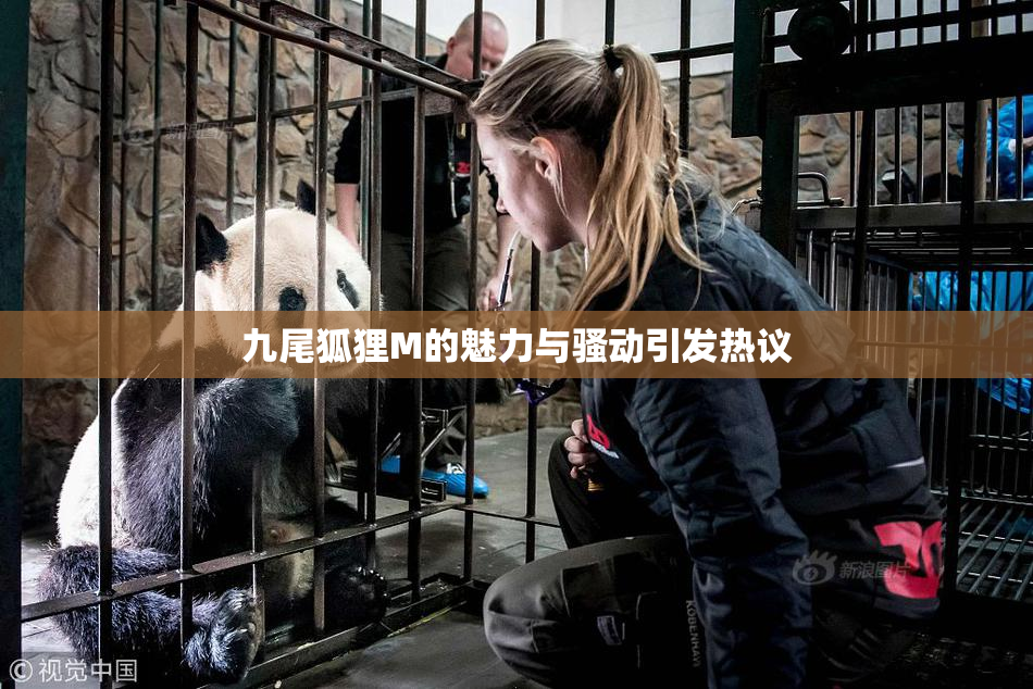 九尾狐狸M的魅力与骚动引发热议