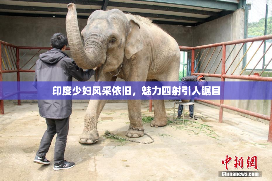 印度少妇风采依旧，魅力四射引人瞩目