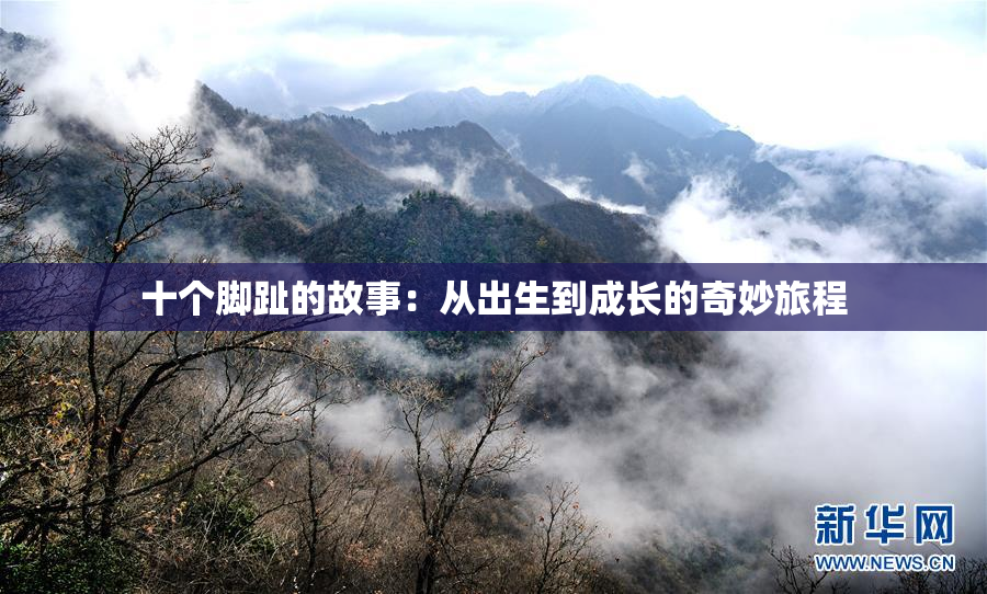 十个脚趾的故事：从出生到成长的奇妙旅程