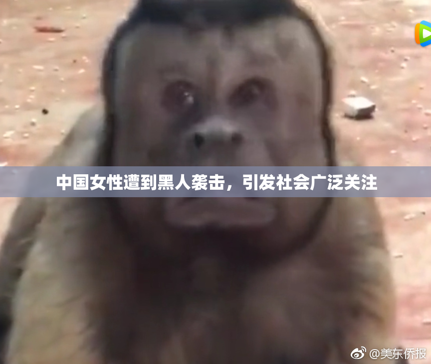 中国女性遭到黑人袭击，引发社会广泛关注