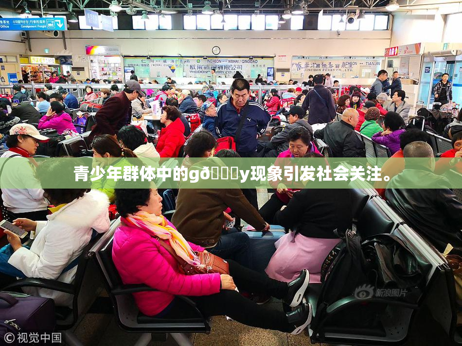 青少年群体中的g🈚y现象引发社会关注。