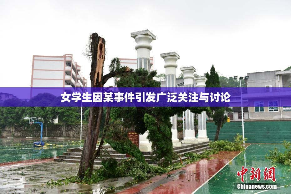 女学生因某事件引发广泛关注与讨论