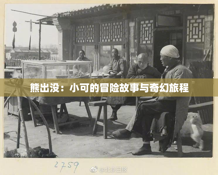 熊出没：小可的冒险故事与奇幻旅程