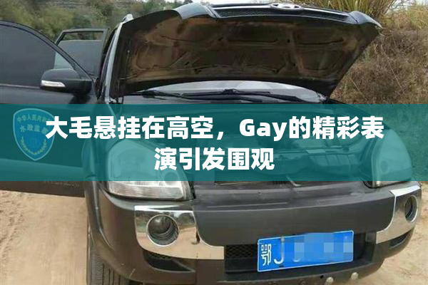 大毛悬挂在高空，Gay的精彩表演引发围观