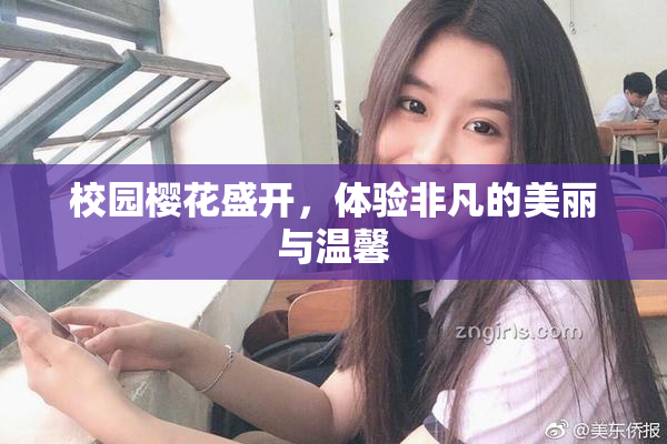 校园樱花盛开，体验非凡的美丽与温馨