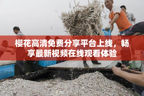 樱花高清免费分享平台上线，畅享最新视频在线观看体验