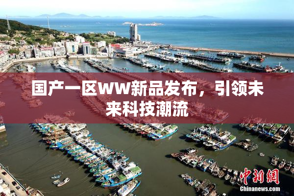 国产一区WW新品发布，引领未来科技潮流