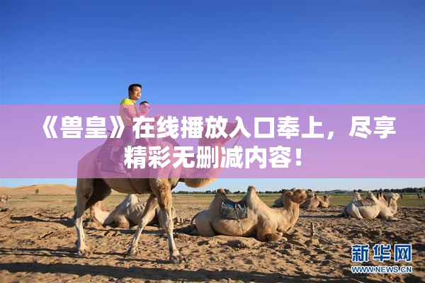 《兽皇》在线播放入口奉上，尽享精彩无删减内容！