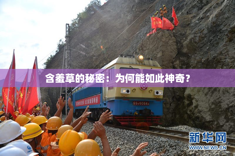 含羞草的秘密：为何能如此神奇？