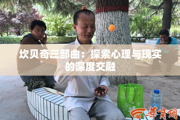 坎贝奇三部曲：探索心理与现实的深度交融