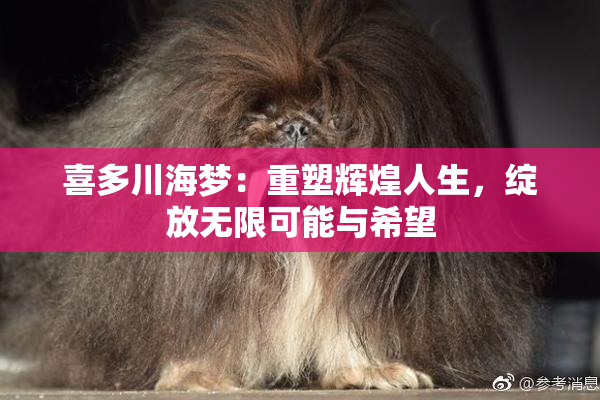 喜多川海梦：重塑辉煌人生，绽放无限可能与希望