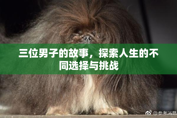 三位男子的故事，探索人生的不同选择与挑战
