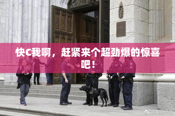 快C我啊，赶紧来个超劲爆的惊喜吧！