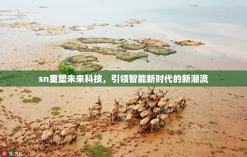 sn重塑未来科技，引领智能新时代的新潮流