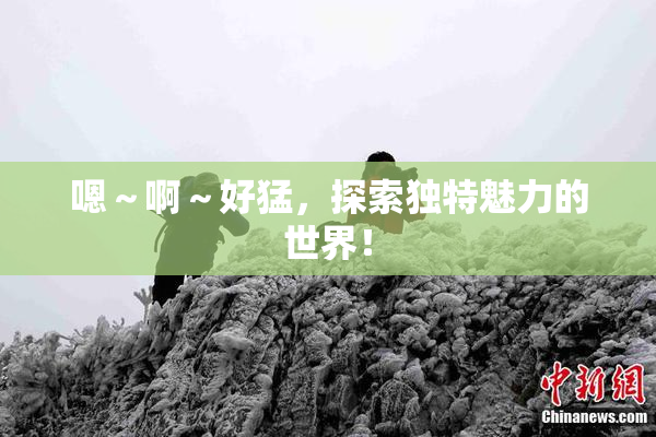 嗯～啊～好猛，探索独特魅力的世界！