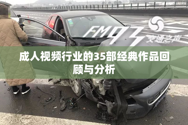 成人视频行业的35部经典作品回顾与分析