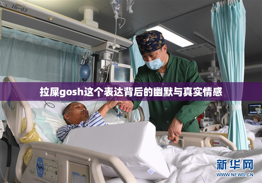 拉屎gosh这个表达背后的幽默与真实情感