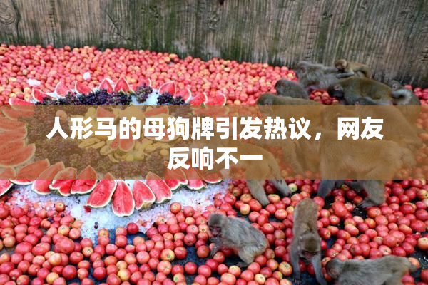 人形马的母狗牌引发热议，网友反响不一