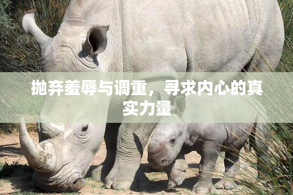 抛弃羞辱与调重，寻求内心的真实力量