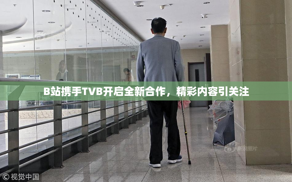 B站携手TVB开启全新合作，精彩内容引关注