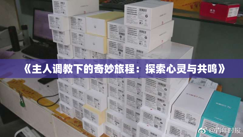 《主人调教下的奇妙旅程：探索心灵与共鸣》