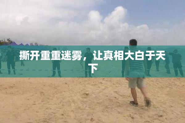 撕开重重迷雾，让真相大白于天下