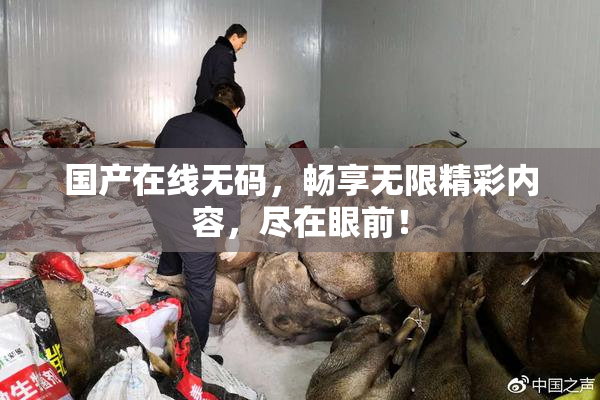 国产在线无码，畅享无限精彩内容，尽在眼前！