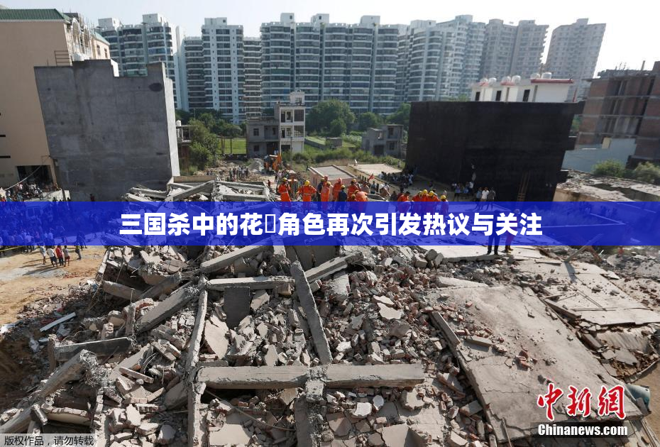 三国杀中的花鬘角色再次引发热议与关注