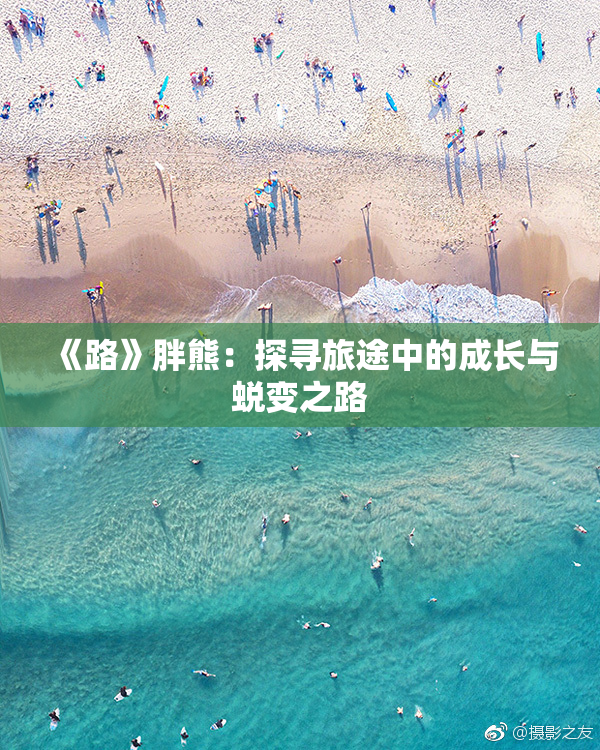 《路》胖熊：探寻旅途中的成长与蜕变之路
