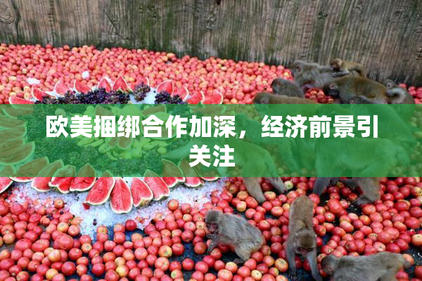 欧美捆绑合作加深，经济前景引关注