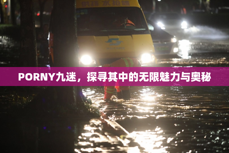 PORNY九迷，探寻其中的无限魅力与奥秘