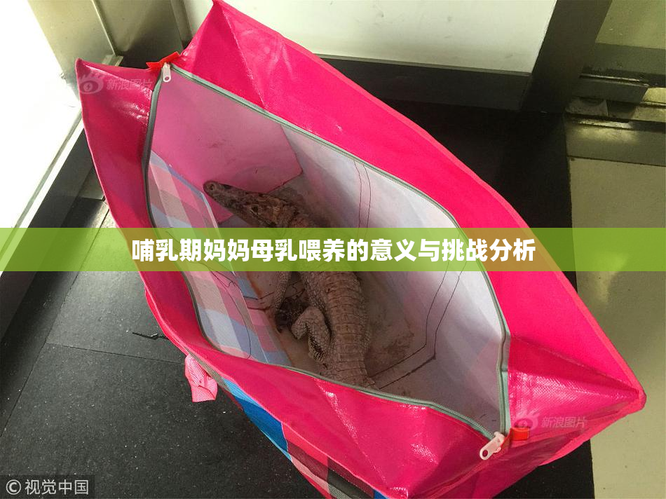 哺乳期妈妈母乳喂养的意义与挑战分析