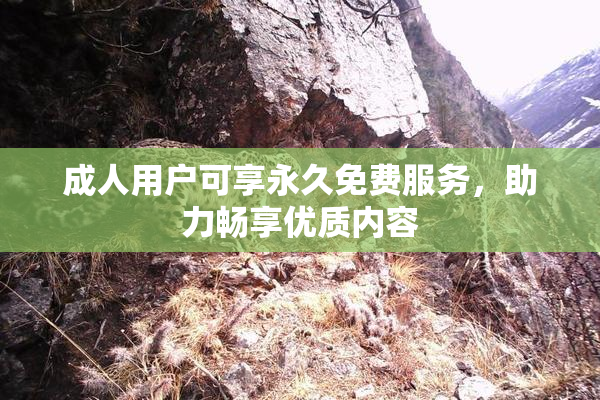 成人用户可享永久免费服务，助力畅享优质内容