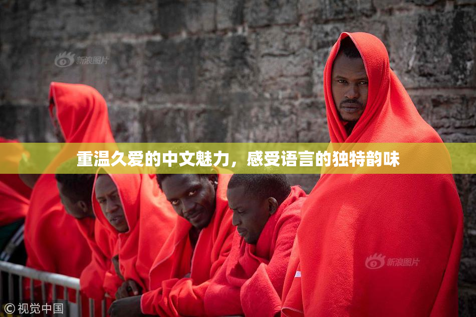 重温久爱的中文魅力，感受语言的独特韵味