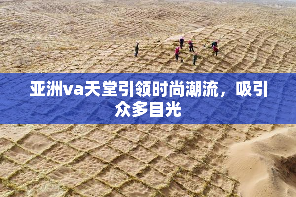 亚洲va天堂引领时尚潮流，吸引众多目光