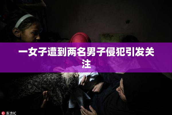 一女子遭到两名男子侵犯引发关注