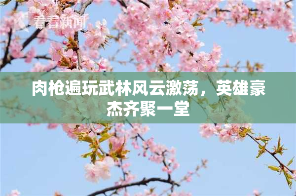 肉枪遍玩武林风云激荡，英雄豪杰齐聚一堂
